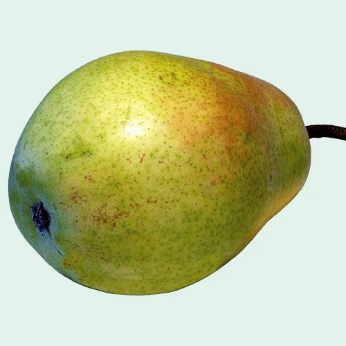 Pear