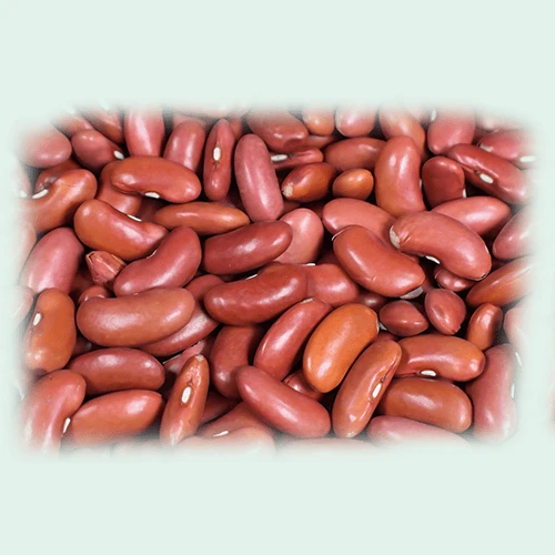 Kidney Bean Loose