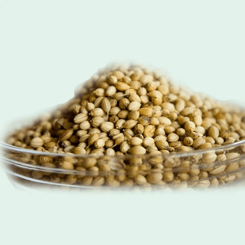 Coriander Seed 2