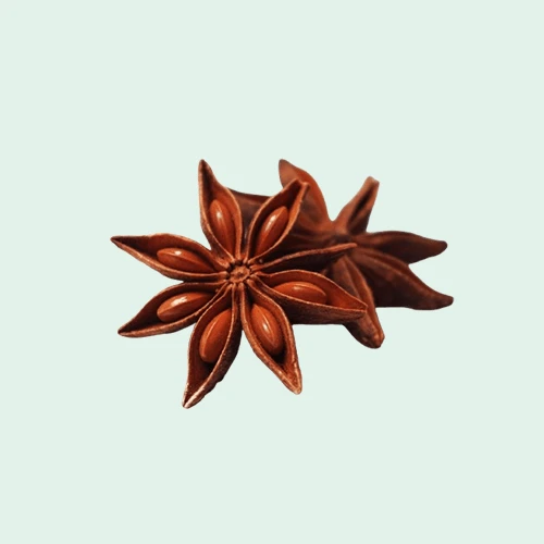 Star Anise 2